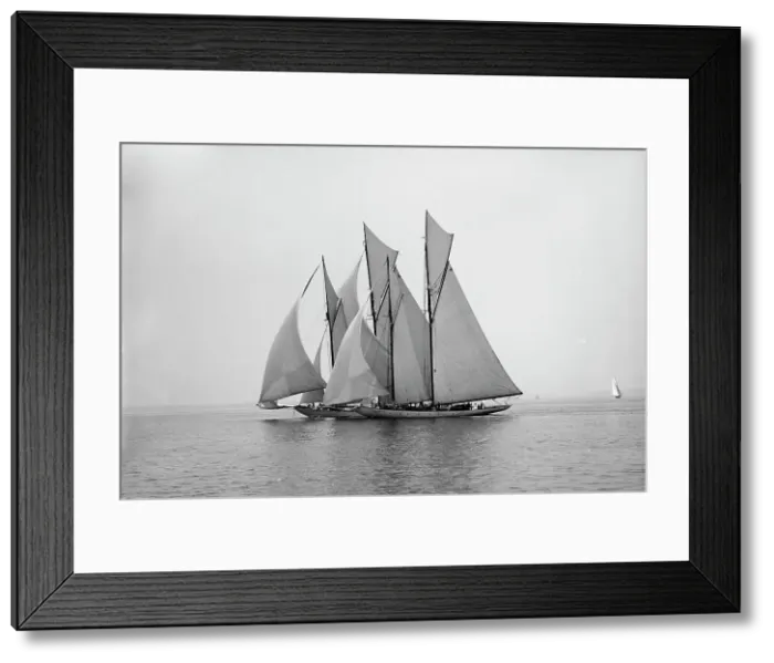Framed Print : Emerald and Amorita, 1897 June 19. Creator: Johns Johnston Framed Print : Emerald and Amorita, 1897 June 19. Creator: Johns Johnston