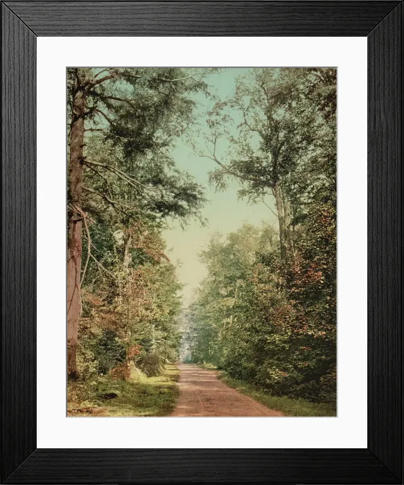 Framed Print : The Drive on Presque Isle [Park], Lake Superior, c1898. Creator: Unknown