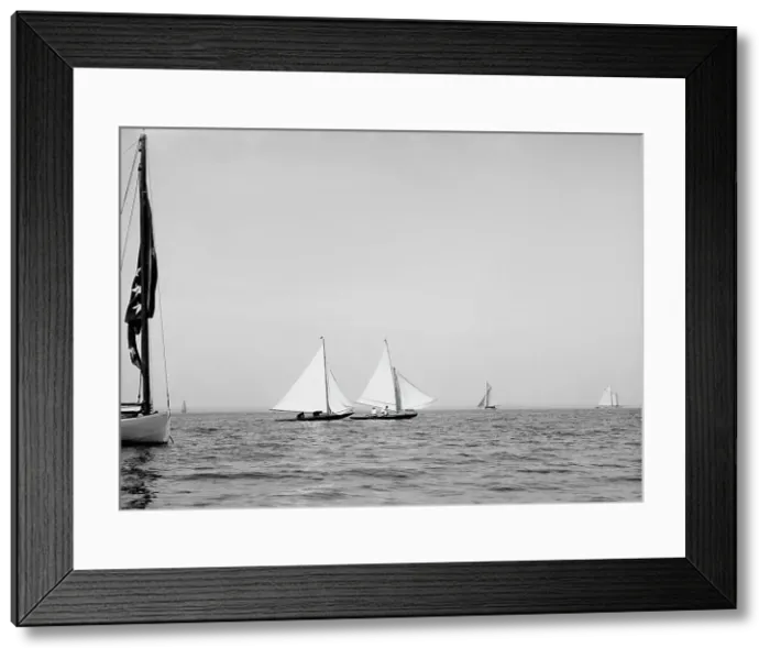 Framed Print : Ethelwynne [sic] & Spruce IV at start, 1895 Sept 24. Creator: Johns Johnston. Ethelwynne [sic] & Spruce IV at start, 1895 Sept 24. Creator: Johns Johnston