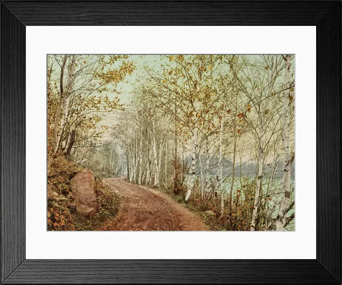 Framed Print : A Northern autumn, c1898. Creator: Unknown Framed Print : A Northern autumn, c1898. Creator: Unknown
