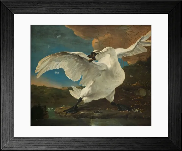 Framed Print : The Threatened Swan, c.1650. Creator: Jan Asselijin Framed Print : The Threatened Swan, c.1650. Creator: Jan Asselijin