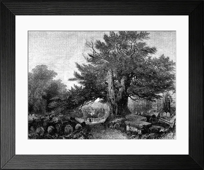 Framed Print : A Country Churchyard - painted by Samuel Read - from the Exhibition of the Society of British Arti Creator: M. Jackson. A Country Churchyard - painted by Samuel Read - from the Exhibition of the Society of British Arti Creator: M Framed Print : A Country Churchyard - painted by Samuel Read - from the Exhibition of the Society of British Arti Creator: M. Jackson. A Country Churchyard - painted by Samuel Read - from the Exhibition of the Society of British Arti Creator: M