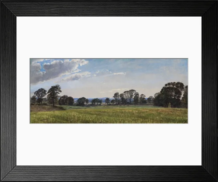 Framed Print : Meadows at Dortheaslyst, 1871-1875. Creator: Peter Christian Thamsen Skovgaard Framed Print : Meadows at Dortheaslyst, 1871-1875. Creator: Peter Christian Thamsen Skovgaard