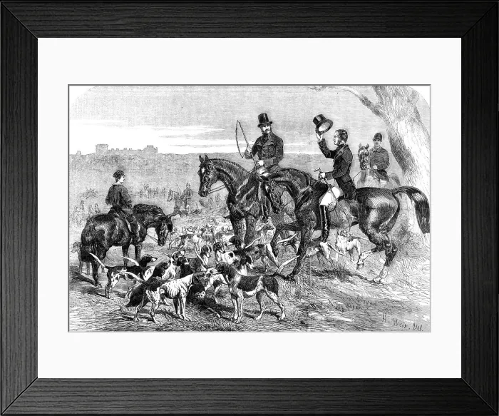 Framed Print : H.R.H. Prince Albert's Harriers, 1856. Creator: Harrison Weir Framed Print : H.R.H. Prince Albert's Harriers, 1856. Creator: Harrison Weir