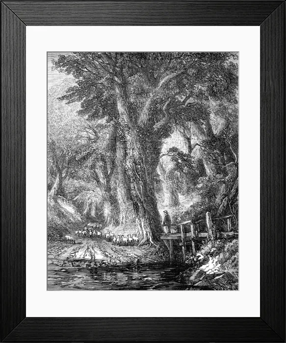 Framed Print : The Brook - painted by George Chester - from the Exhibition of the National Institution, 1856. Creator: M. Jackson. The Brook - painted by George Chester - from the Exhibition of the National Institution, 1856. Creator: M. Jackson Framed Print : The Brook - painted by George Chester - from the Exhibition of the National Institution, 1856. Creator: M. Jackson. The Brook - painted by George Chester - from the Exhibition of the National Institution, 1856. Creator: M. Jackson