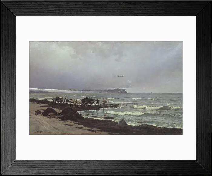 Framed Print : Loading seaweed on the beach at Hornbæk, 1882. Creator: Carl Ludvig Locher Framed Print : Loading seaweed on the beach at Hornbæk, 1882. Creator: Carl Ludvig Locher