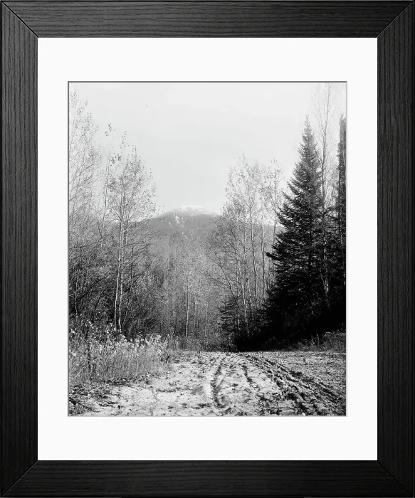 Framed Print : Mount Pleasant from base road, White Mountains, ca 1900. Creator: Unknown Framed Print : Mount Pleasant from base road, White Mountains, ca 1900. Creator: Unknown