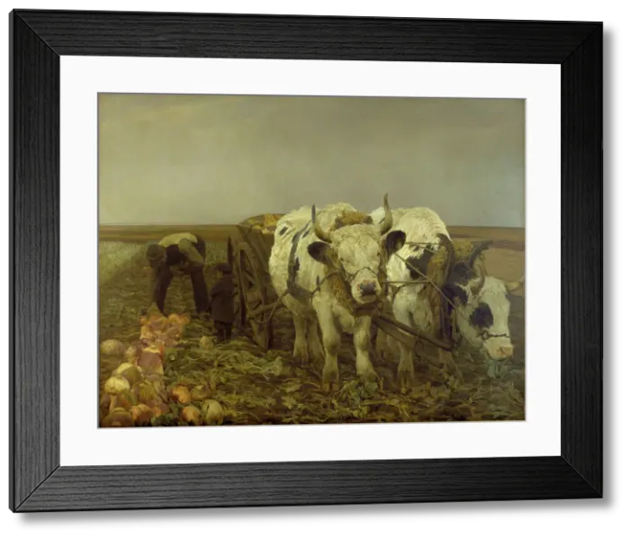 Framed Print : Harvesting beets, 1886. Creator: Niels Pedersen Mols Framed Print : Harvesting beets, 1886. Creator: Niels Pedersen Mols