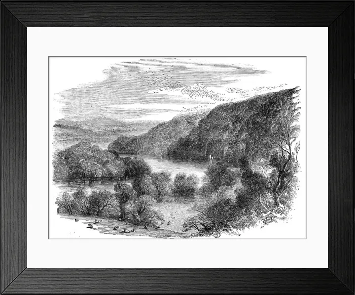Framed Print : Sharpham, on the Dart, Devon - the Largest Rookery in England, 1856. Creator: Edmund Evans Framed Print : Sharpham, on the Dart, Devon - the Largest Rookery in England, 1856. Creator: Edmund Evans