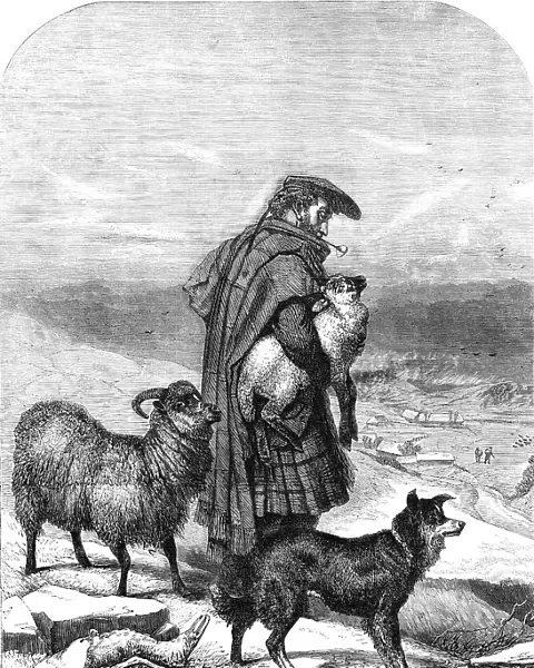 The Highland Shepherd - painted by R. Ansdell - from the Exhibition of the Royal Academy, 1856. Creator: W Thomas