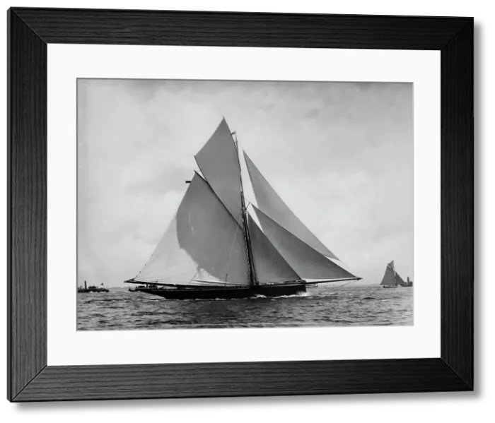Framed Print : Genesta, c1885. Creator: Johns Johnston Framed Print : Genesta, c1885. Creator: Johns Johnston