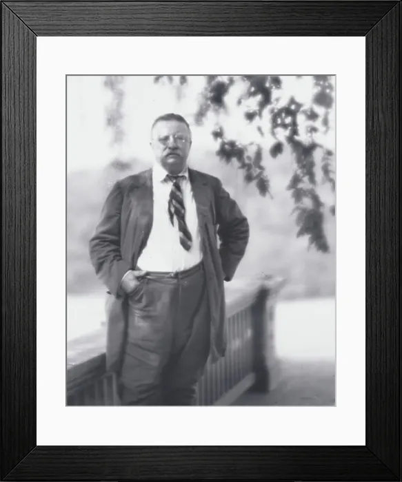Framed Print : Portrait photograph of Theodore Roosevelt, 1916 Sept. 8. Creator: Arnold Genthe Framed Print : Portrait photograph of Theodore Roosevelt, 1916 Sept. 8. Creator: Arnold Genthe