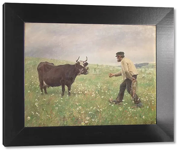 A loose cow, 1890. Creator: Hans Michael Therkildsen