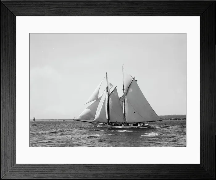 Framed Print : Iroquois, 1896 June 11. Creator: Johns Johnston Framed Print : Iroquois, 1896 June 11. Creator: Johns Johnston