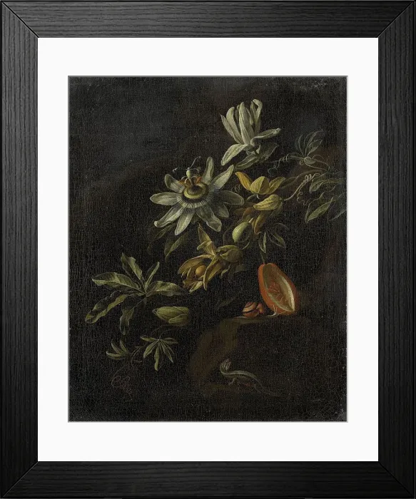 Framed Print : Still Life with Passionflowers, 1670-1708. Creator: Elias Van Den Broeck Framed Print : Still Life with Passionflowers, 1670-1708. Creator: Elias Van Den Broeck