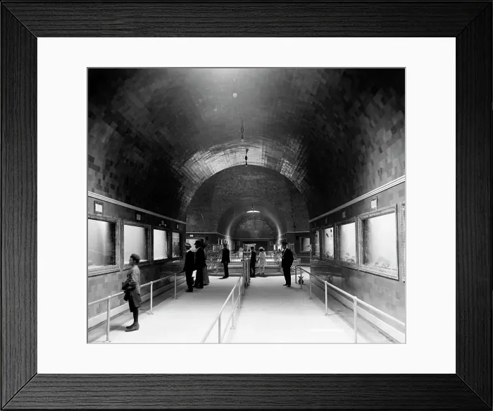 Framed Print : Interior of aquarium, Belle Isle, Detroit, Mich. between 1890 and 1910. Creator: Unknown Framed Print : Interior of aquarium, Belle Isle, Detroit, Mich. between 1890 and 1910. Creator: Unknown
