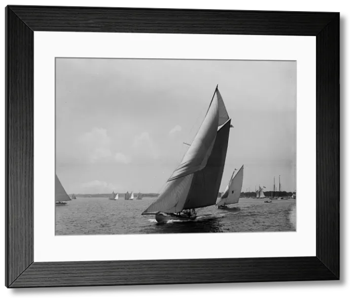 Framed Print : Kestrel, 1899 July 4. Creator: Johns Johnston