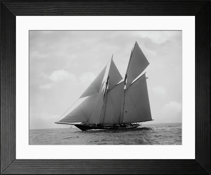 Framed Print : Lasca, 1892 Aug 6. Creator: Johns Johnston Framed Print : Lasca, 1892 Aug 6. Creator: Johns Johnston
