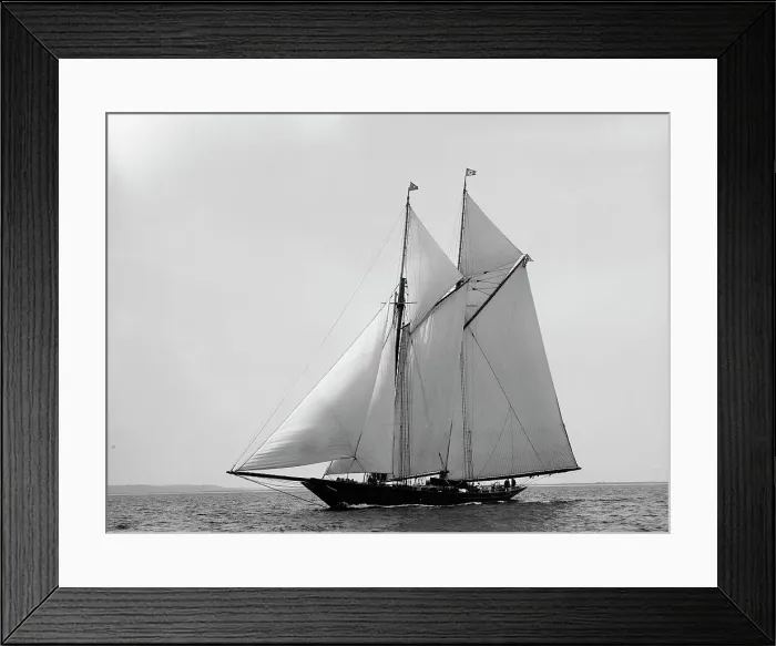 Framed Print : Lasca, 1895 Aug 20. Creator: Johns Johnston Framed Print : Lasca, 1895 Aug 20. Creator: Johns Johnston