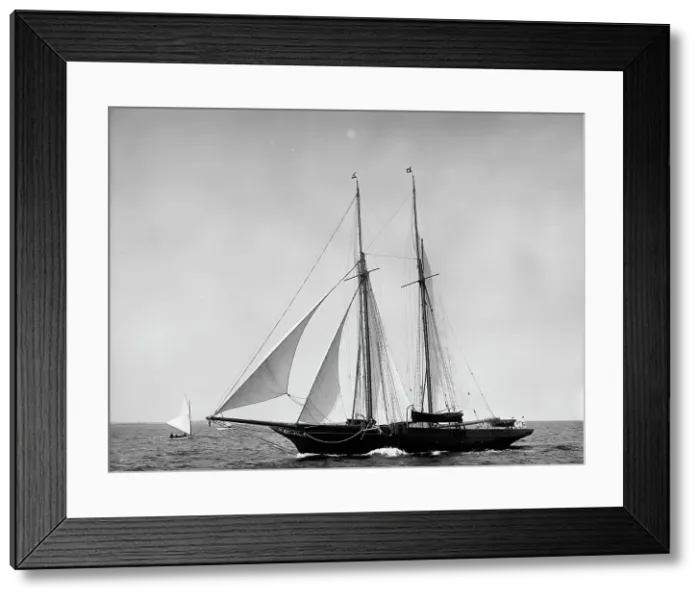 Framed Print : Lady Evelyn, 1899 July 29. Creator: Johns Johnston Framed Print : Lady Evelyn, 1899 July 29. Creator: Johns Johnston