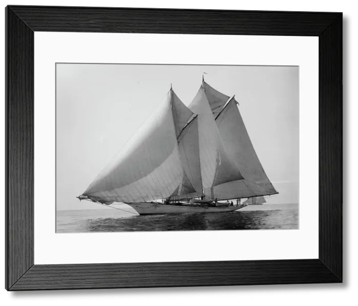 Framed Print : Loyal, 1894 Aug 11. Creator: Johns Johnston Framed Print : Loyal, 1894 Aug 11. Creator: Johns Johnston