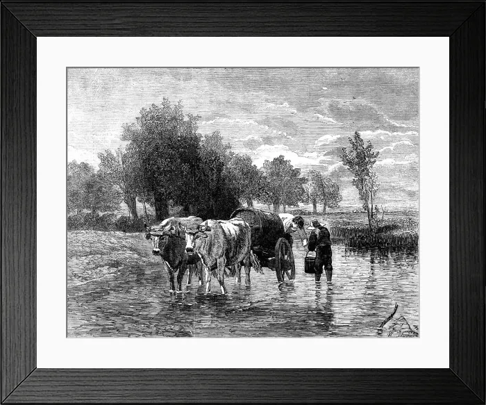 Framed Print : The Water-Cart - painted by Troyon - from the London Exhibition of the French School of Fine Arts, Creator: W Thomas. The Water-Cart - painted by Troyon - from the London Exhibition of the French School of Fine Arts, Creator: W Thomas Framed Print : The Water-Cart - painted by Troyon - from the London Exhibition of the French School of Fine Arts, Creator: W Thomas. The Water-Cart - painted by Troyon - from the London Exhibition of the French School of Fine Arts, Creator: W Thomas