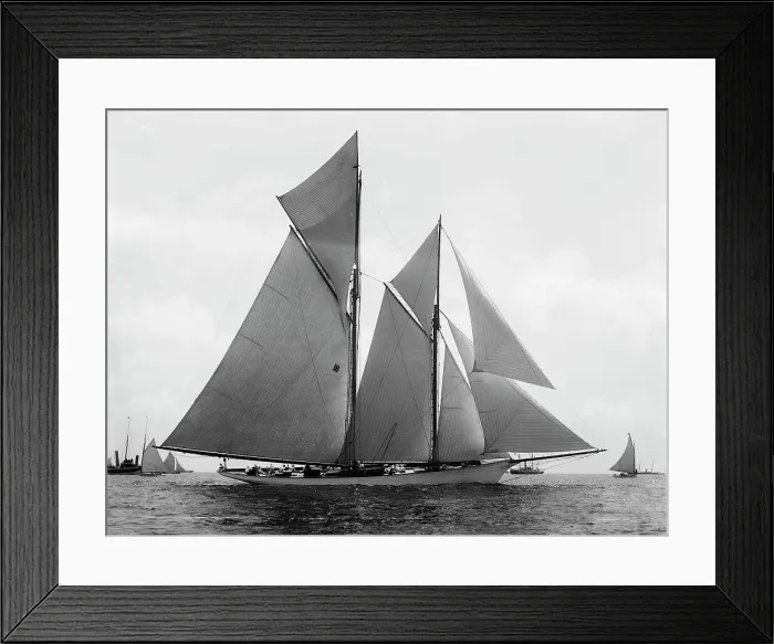 Framed Print : Marguerite, 1891. Creator: Johns Johnston Framed Print : Marguerite, 1891. Creator: Johns Johnston