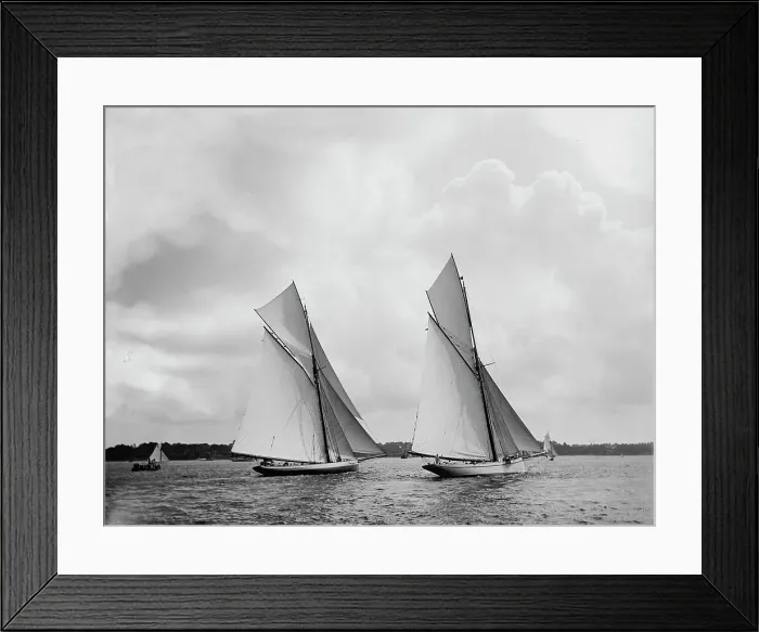 Framed Print : Mayflower and Galatea, the start, 1886 Sept 7. Creator: Johns Johnston Framed Print : Mayflower and Galatea, the start, 1886 Sept 7. Creator: Johns Johnston