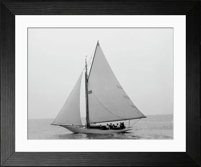 Framed Print : Narona, 1895 July 27. Creator: Johns Johnston Framed Print : Narona, 1895 July 27. Creator: Johns Johnston