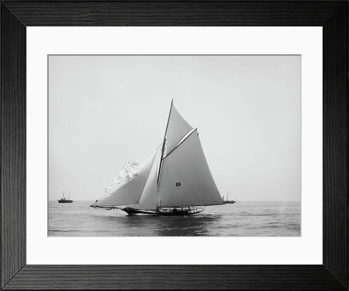 Framed Print : Nautilus, 1891 June 16. Creator: Johns Johnston Framed Print : Nautilus, 1891 June 16. Creator: Johns Johnston