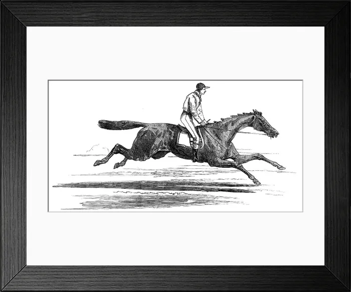 Framed Print : Epsom Races - Ellington, Winner of the Derby, 1856. Creator: Unknown. Epsom Races - Ellington, Winner of the Derby, 1856. Creator: Unknown Framed Print : Epsom Races - Ellington, Winner of the Derby, 1856. Creator: Unknown. Epsom Races - Ellington, Winner of the Derby, 1856. Creator: Unknown