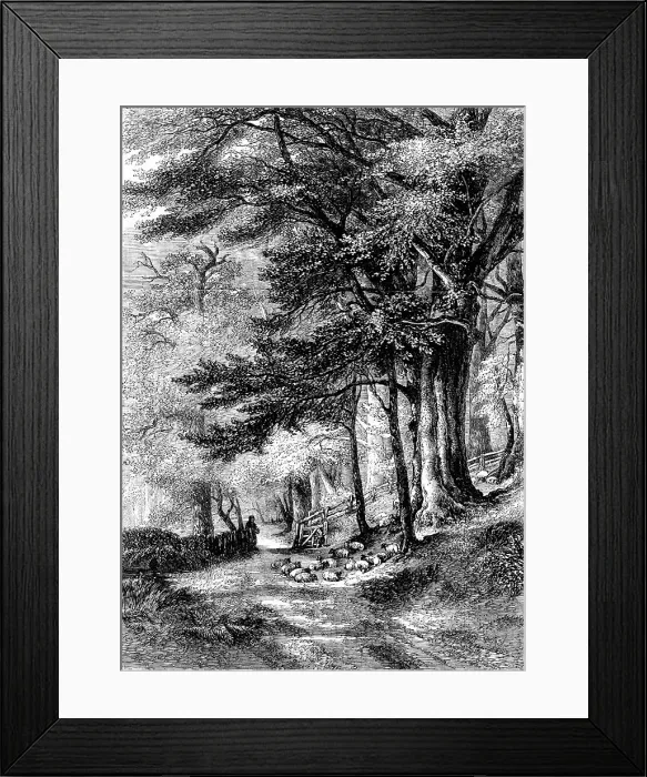 Framed Print : Entrance to the Fore Walk, Wotton, Surrey - painted by G. Barnard - from the Exhibition of the Nat Creator: Unknown. Entrance to the Fore Walk, Wotton, Surrey - painted by G. Barnard - from the Exhibition of the Nat Creator: Unknown Framed Print : Entrance to the Fore Walk, Wotton, Surrey - painted by G. Barnard - from the Exhibition of the Nat Creator: Unknown. Entrance to the Fore Walk, Wotton, Surrey - painted by G. Barnard - from the Exhibition of the Nat Creator: Unknown