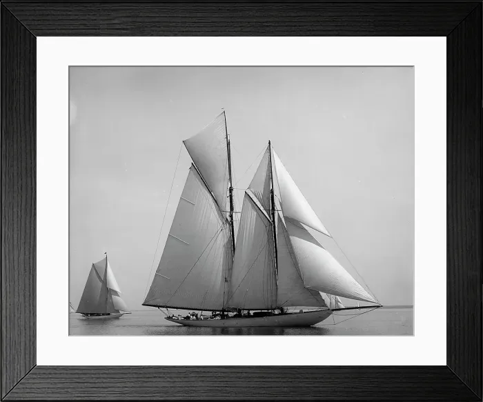 Framed Print : Quisetta, 1899 July 15. Creator: Johns Johnston Framed Print : Quisetta, 1899 July 15. Creator: Johns Johnston