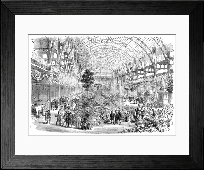 Framed Print : The Universal Cattle Show and Agricultural Exhibition, Paris, 1856. Creator: Unknown Framed Print : The Universal Cattle Show and Agricultural Exhibition, Paris, 1856. Creator: Unknown