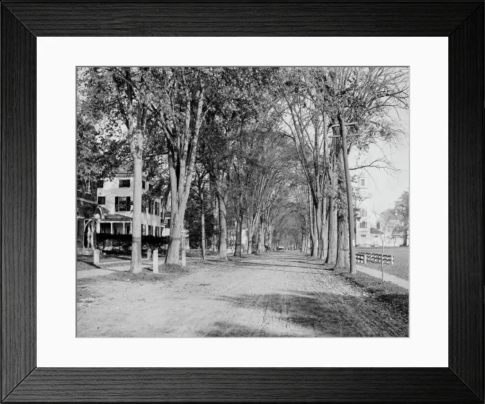 Framed Print : North Main Street, Dartmouth College, ca 1900. Creator: Unknown Framed Print : North Main Street, Dartmouth College, ca 1900. Creator: Unknown