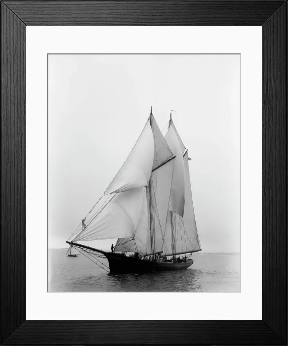 Framed Print : Ramona, 1896 July 22. Creator: Johns Johnston Framed Print : Ramona, 1896 July 22. Creator: Johns Johnston