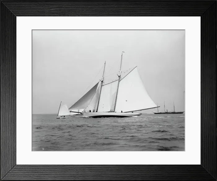 Framed Print : Sachem, between 1887 and 1900. Creator: Johns Johnston Framed Print : Sachem, between 1887 and 1900. Creator: Johns Johnston