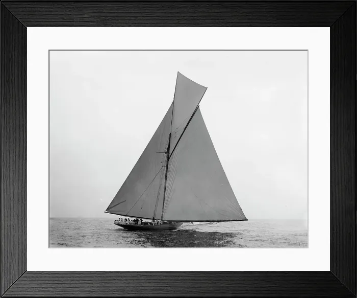 Framed Print : Shamrock, 1899 Oct 3, c1899. Creator: Johns Johnston Framed Print : Shamrock, 1899 Oct 3, c1899. Creator: Johns Johnston