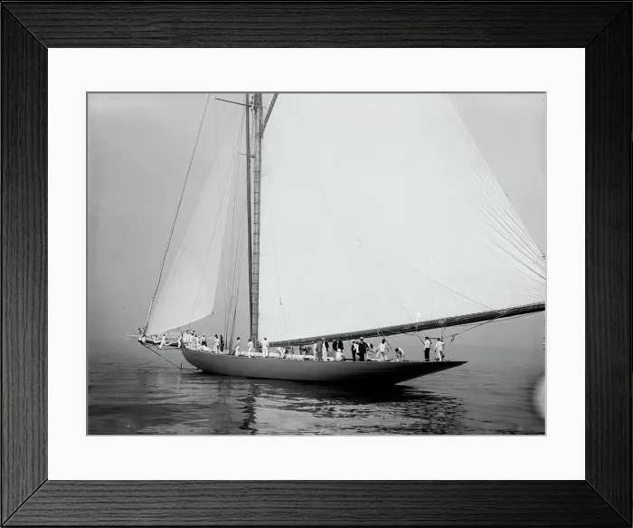 Framed Print : Shamrock, c1899. Creator: Johns Johnston Framed Print : Shamrock, c1899. Creator: Johns Johnston