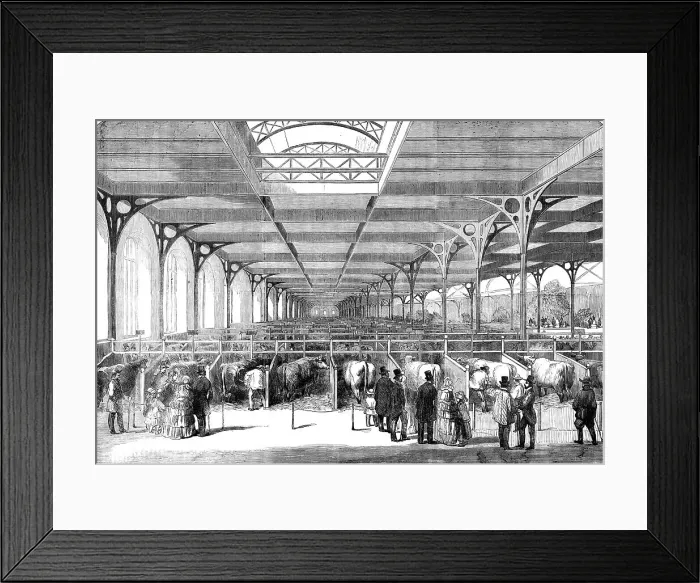 Framed Print : The Paris Agricultural Exhibition - the Cattle - general view, 1856. Creator: Unknown Framed Print : The Paris Agricultural Exhibition - the Cattle - general view, 1856. Creator: Unknown