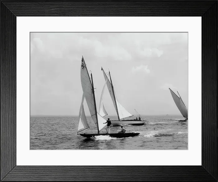 Framed Print : Shark and Acushla [II], 1897 July 31. Creator: Johns Johnston