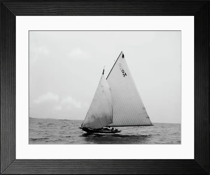 Framed Print : Shark, 1897 June 29. Creator: Johns Johnston Framed Print : Shark, 1897 June 29. Creator: Johns Johnston