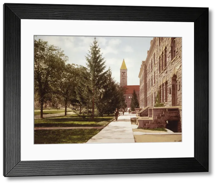 Framed Print : Morrill Hall and the Library, Cornell University, c1900. Creator: Unknown Framed Print : Morrill Hall and the Library, Cornell University, c1900. Creator: Unknown