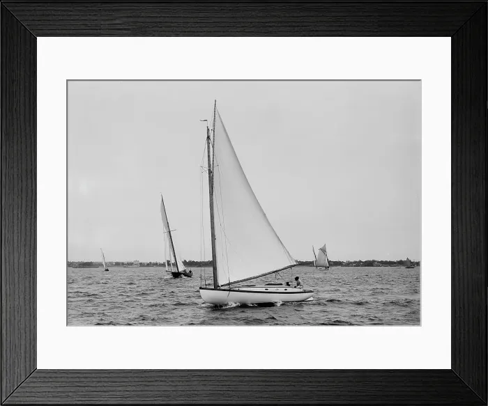 Framed Print : Step Lively, 1896 June 16. Creator: Johns Johnston Framed Print : Step Lively, 1896 June 16. Creator: Johns Johnston