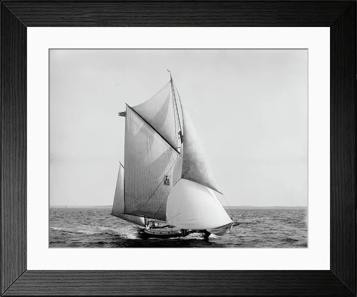 Framed Print : Sultan, 1899 July 29. Creator: Johns Johnston Framed Print : Sultan, 1899 July 29. Creator: Johns Johnston