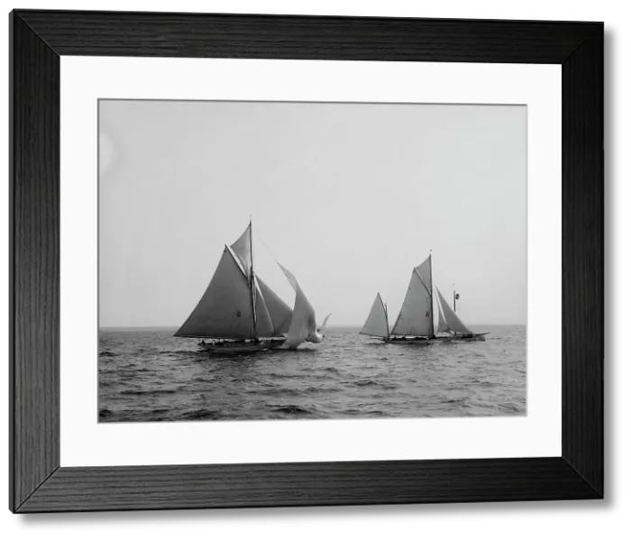 Framed Print : Tigress and Albicore, between 1890 and 1900. Creator: Johns Johnston Framed Print : Tigress and Albicore, between 1890 and 1900. Creator: Johns Johnston