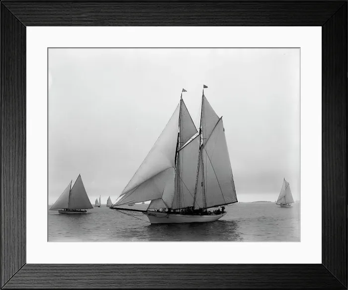 Framed Print : Viator, 1896 July 22. Creator: Johns Johnston Framed Print : Viator, 1896 July 22. Creator: Johns Johnston