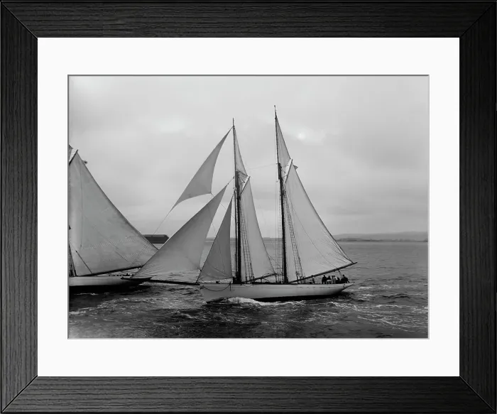 Framed Print : Viator, 1891. Creator: Johns Johnston Framed Print : Viator, 1891. Creator: Johns Johnston