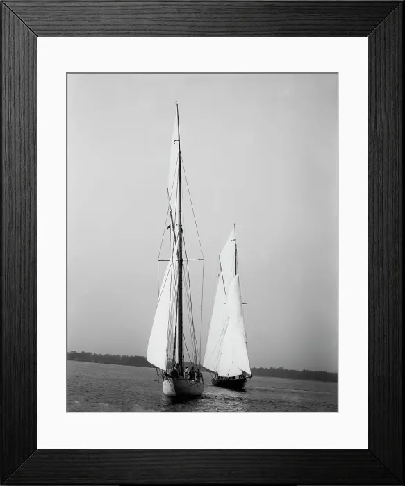Framed Print : Wasp and Queen Mab, 1894 Sept 22. Creator: Johns Johnston Framed Print : Wasp and Queen Mab, 1894 Sept 22. Creator: Johns Johnston