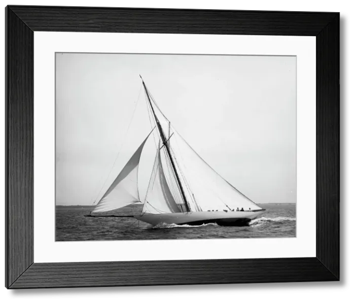 Framed Print : Wasp, 1896 July 25. Creator: Johns Johnston Framed Print : Wasp, 1896 July 25. Creator: Johns Johnston